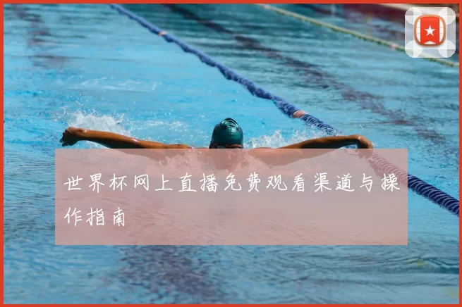 世界杯网上直播免费观看渠道与操作指南