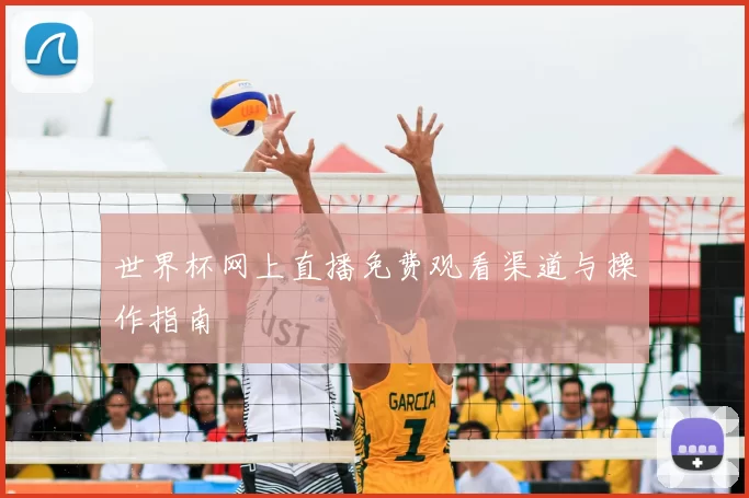 世界杯网上直播免费观看渠道与操作指南