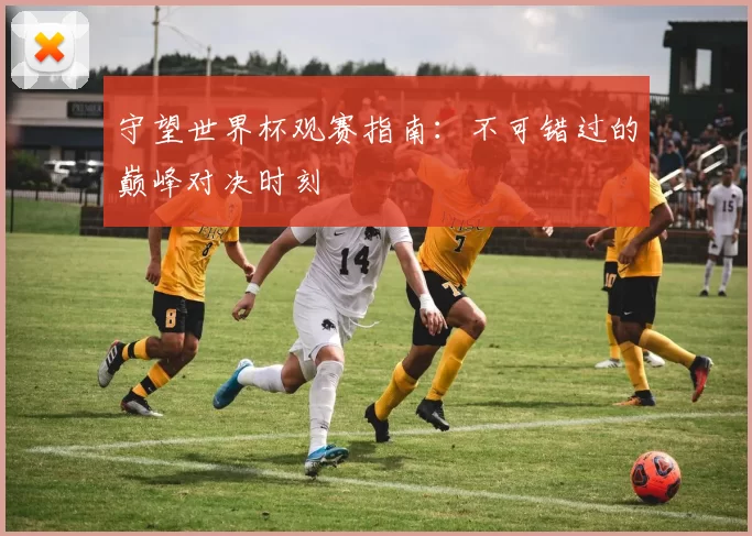 守望世界杯观赛指南：不可错过的巅峰对决时刻