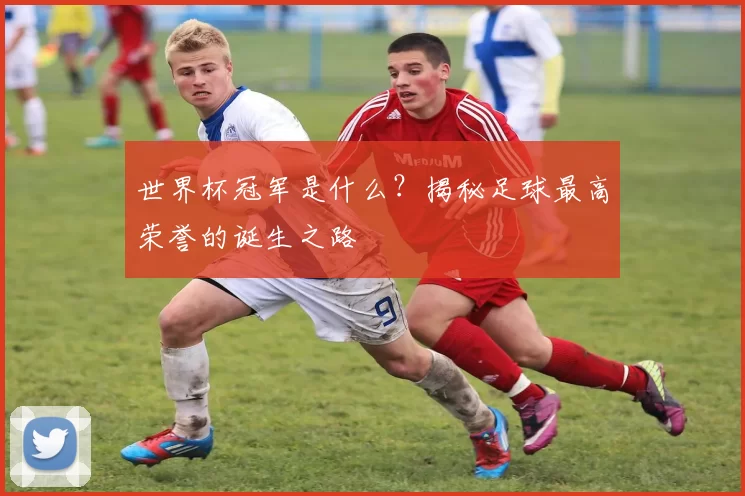 世界杯冠军是什么？揭秘足球最高荣誉的诞生之路