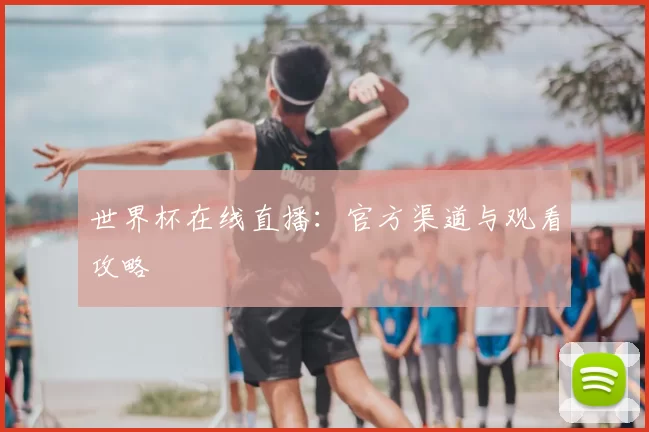 世界杯在线直播：官方渠道与观看攻略