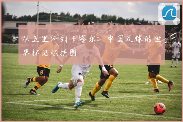 从五里河到卡塔尔：中国足球的世界杯记忆拼图