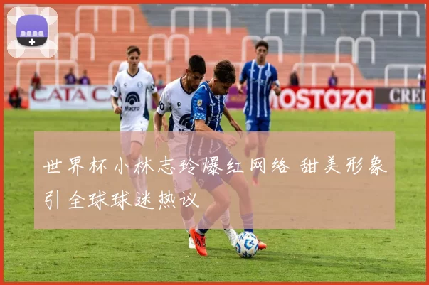 世界杯小林志玲爆红网络 甜美形象引全球球迷热议