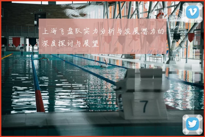 上海飞盘队实力分析与发展潜力的深度探讨与展望