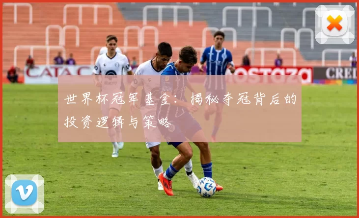 世界杯冠军基金：揭秘夺冠背后的投资逻辑与策略