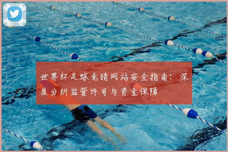 世界杯足球竞猜网站安全指南：深度分析监管许可与资金保障
