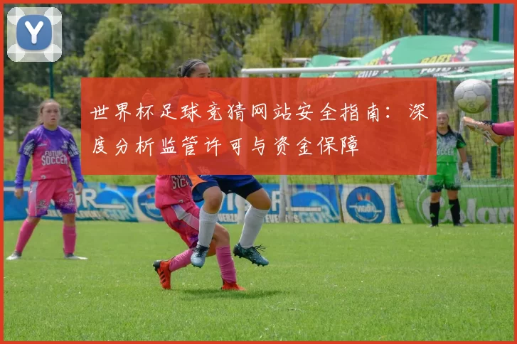 世界杯足球竞猜网站安全指南：深度分析监管许可与资金保障