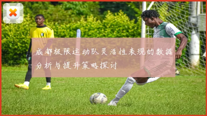成都极限运动队灵活性表现的数据分析与提升策略探讨