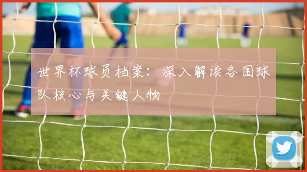 世界杯球员档案：深入解读各国球队核心与关键人物